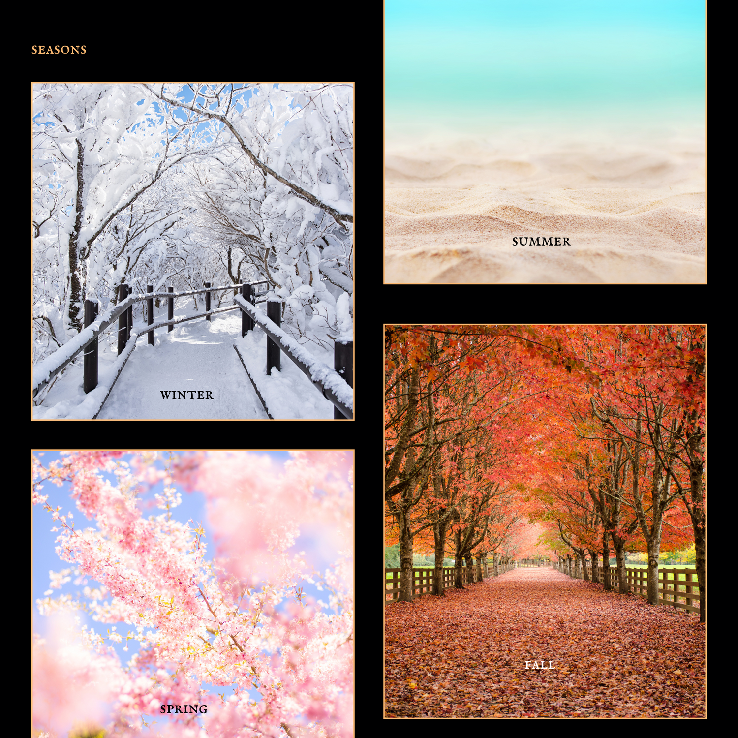 Seasons of Sin